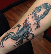 Image result for Best Scorpion Tattoos