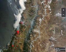 Image result for Chile wildfires update