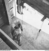 Image result for World War Hangings