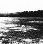 Image result for Chelmno Concentration Camp
