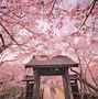Image result for Japan Wallpapers for Kindle Fire