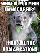 Image result for Cutest Animals Funny Pun