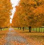 Image result for Best Autumn Desktop Wallpaper