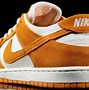 Image result for Nike SB Dunk Orange