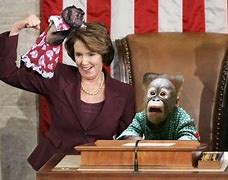 Image result for Pelosi Boat