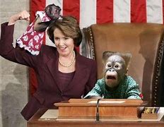 Image result for Pelosi Mask