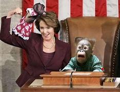 Image result for Nancy Pelosi Speech Yesterday