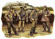 Image result for WW2 SS Infantry