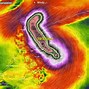Image result for Category 5 Tropical Cyclone