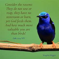Image result for Bible Verses About Birds or Feathers