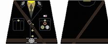 Image result for Waffen SS Decals