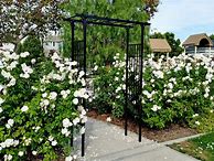 Image result for Jardin Rose Arch - Yard %26 Landscaping - Arches %26 Arbors - Gardener%27s Supply
