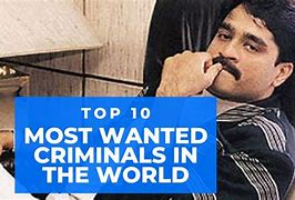 Image result for Most Wanted Animal in the World