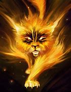 Image result for Magical Fire Cat