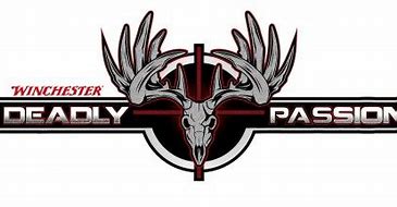 Image result for deadly passion tv