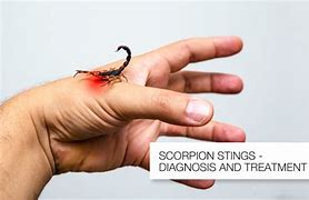 Image result for Scorpion Wound