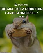 Image result for Funny Inspirational Quote of the Day