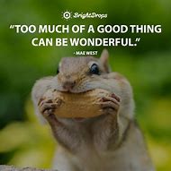 Image result for Funny Quotes About Positivity