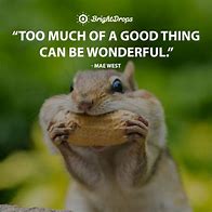Image result for Daily Thought Quote Funny