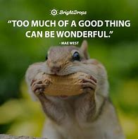 Image result for Funny but Encouraging Quote of the Day