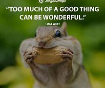 Image result for Quotes Funny Humorous