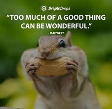 Image result for Funny Quotes and Images About Life