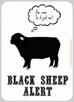Image result for Black Sheep Funny