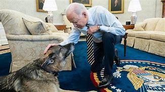 Image result for Joe Biden Dog