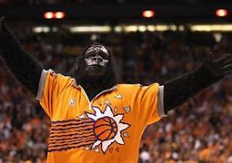 Image result for Phoenix Suns Mascot