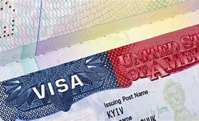 Image result for Visa Document