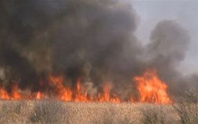 Image result for Minnesota Wildfire
