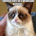 Image result for Funny Cat Wednesday Meme