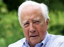 Image result for David McCullough Younger