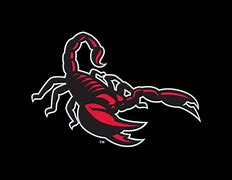 Image result for Scorpion Baseball Logos