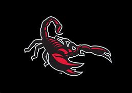 Image result for Scottsdale Scorpions