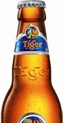 Image result for Tiger Beer Logo Vector