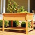 Image result for raised garden boxes