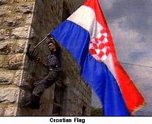Image result for Battle in Croatia War