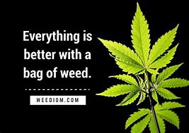 Image result for Weed Quotes About Life