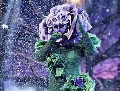 Image result for Masked Singer Season 2 Flower