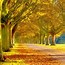Image result for Fall Autumn Desktop
