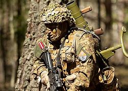 Image result for Latvian Military Cap