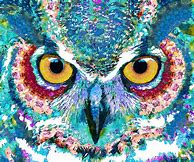 Image result for Colorful Owl Painting