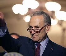 Image result for Charles Schumer Trump