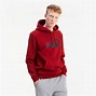 Image result for Puma Hoodie Black and Grey