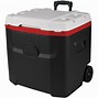 Image result for Ice Chest Costco Freezer