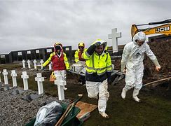 Image result for Falklands Dead