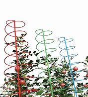 Image result for Spiral and Plant Stakes