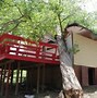 Image result for Emergency Tree Removal