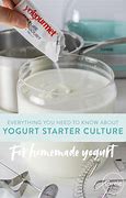 Image result for Yogurt Starter Culture Recipe